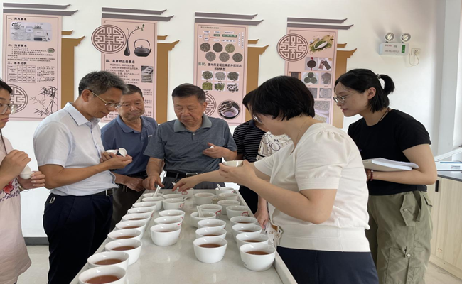 黃山旅游管理學(xué)校助力黃山區(qū)“第二屆太平魁紅”斗茶大賽